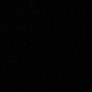 Meet your Posher, Dennis